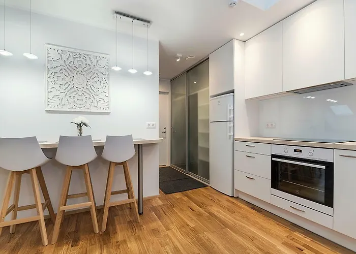 Rooftop Daire Tallinn